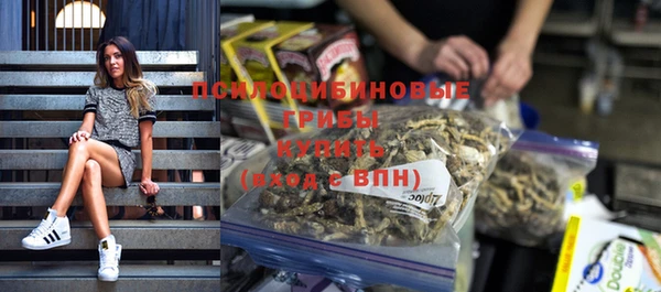 прущие грибы Абдулино