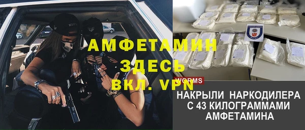 прущие грибы Абдулино