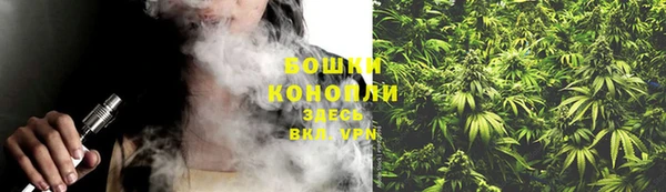 прущие грибы Абдулино