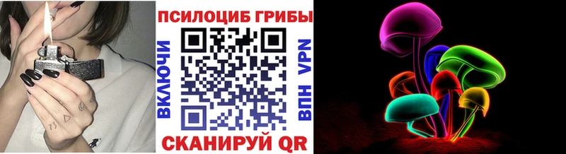 Псилоцибиновые грибы MAGIC MUSHROOMS  мега сайт  Псков 